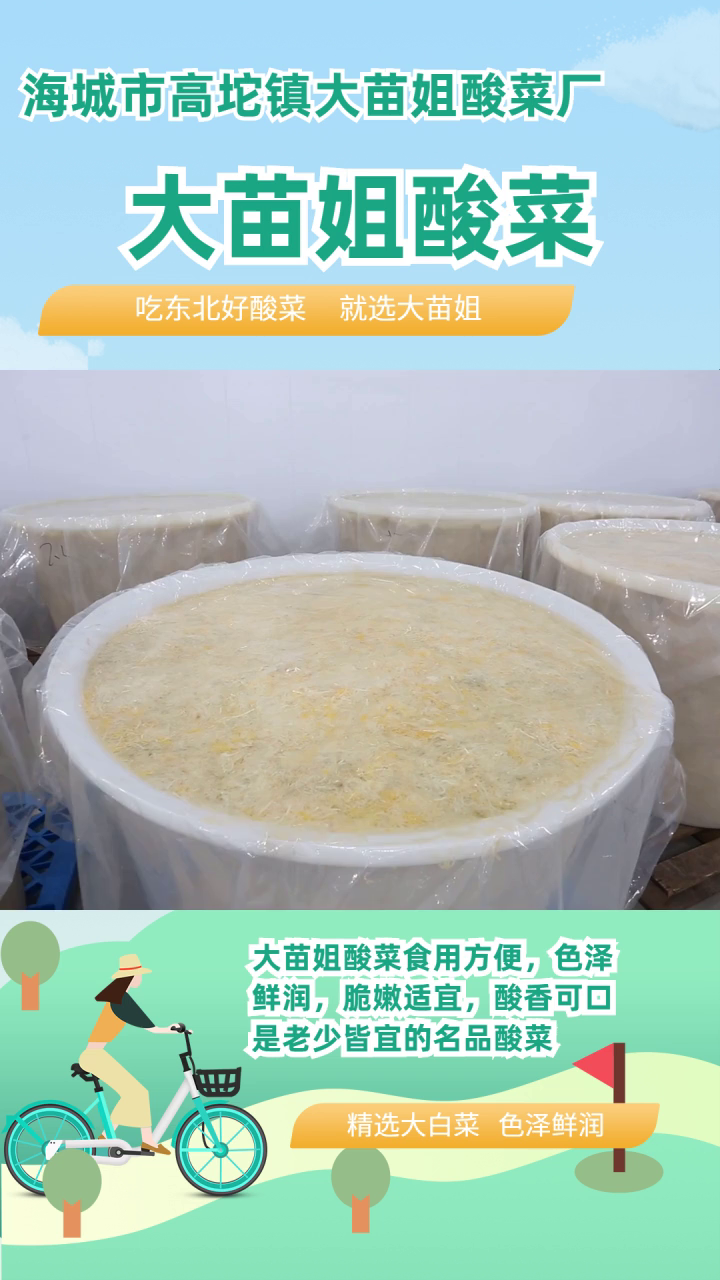 辽宁袋装东北白酸菜哪家好 长春袋装酸菜丝 通化袋装酸菜丝