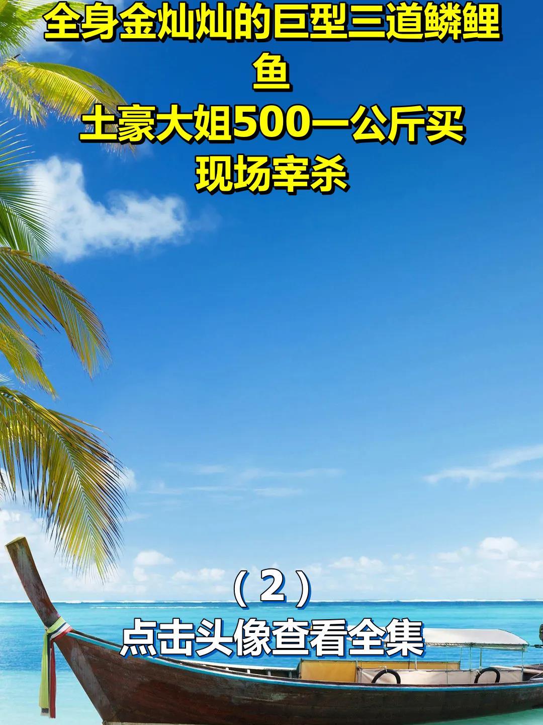 全身金灿灿的巨型三道鳞鲤鱼,土豪大姐500一公斤买,现场宰杀2