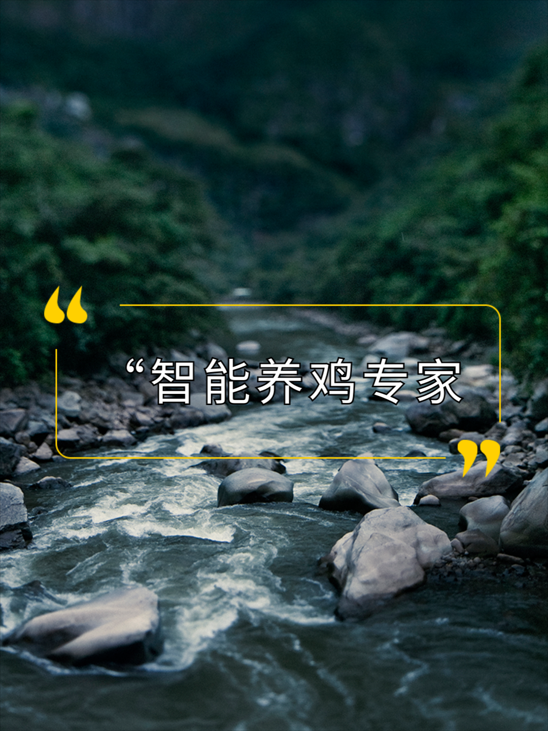 自动化鸡笼 蛋鸡养殖机械 层叠式养鸡笼 A型鸡笼 阶梯式养鸡