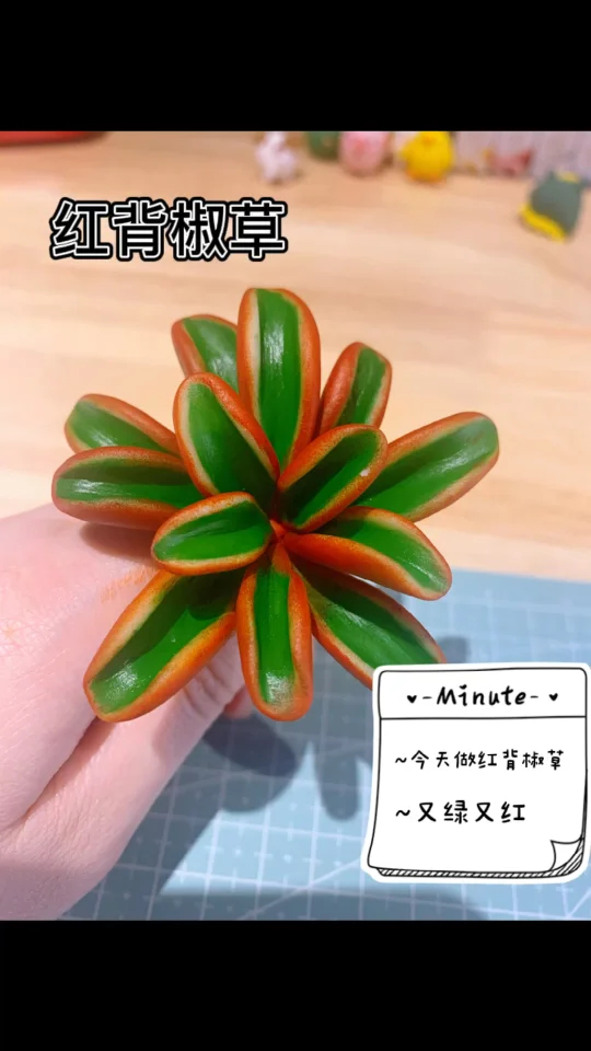 红红火火——红背椒草多肉制作(2)