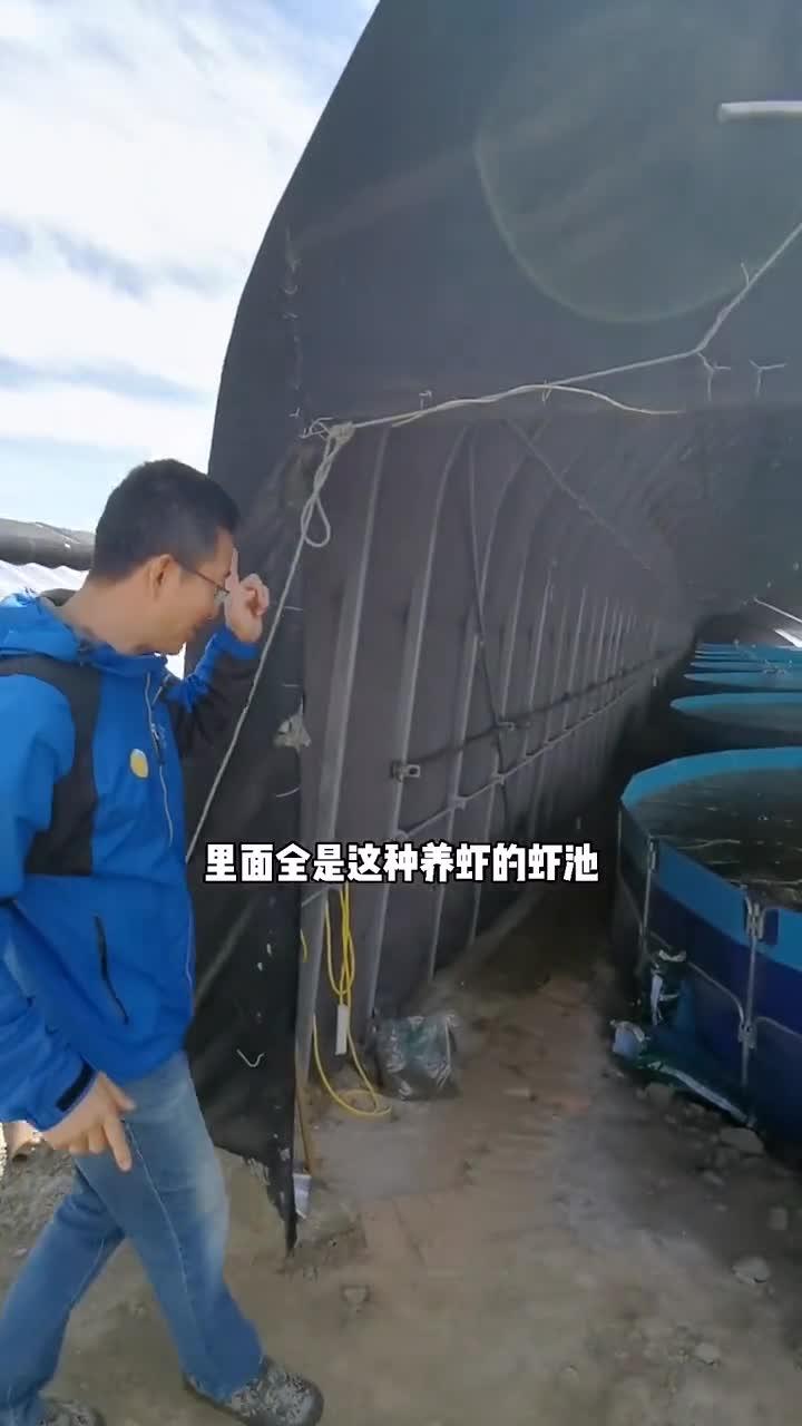 1个大棚9个养虾池,算算收入是种菜多少倍?