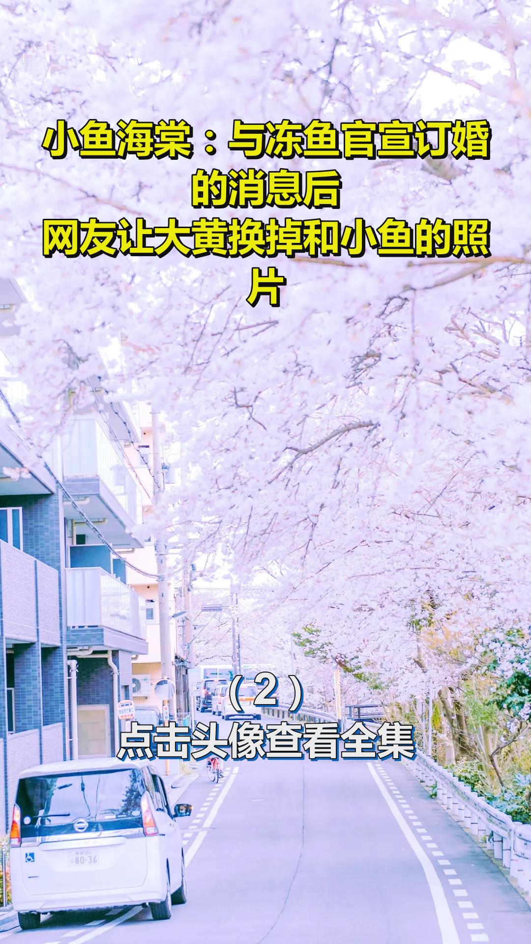 小鱼海棠:与冻鱼官宣订婚的消息后