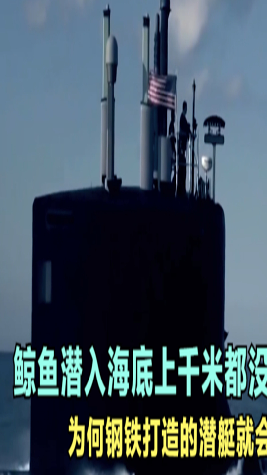 鲸鱼潜入海底上千米都没事儿,钢铁打造的潜艇,却容易被海水压扁