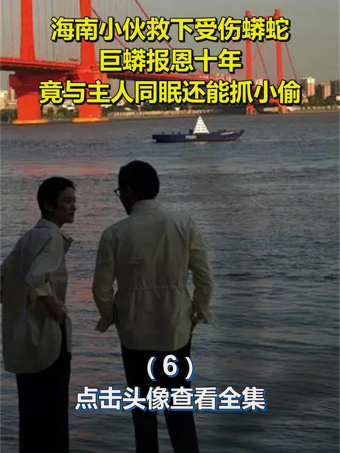 海南小伙救下受伤蟒蛇,巨蟒报恩十年,竟与主人同眠还能抓小偷