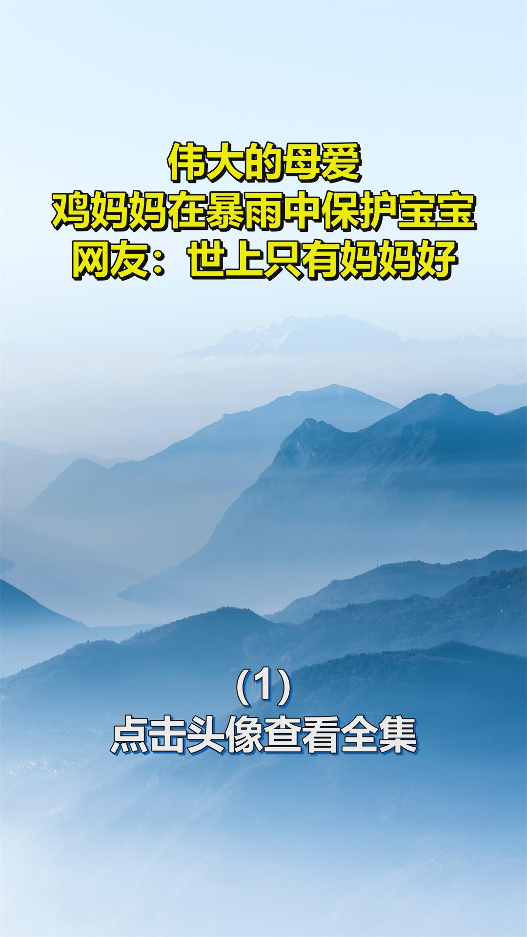 伟大的母爱!鸡妈妈在暴雨中保护宝宝,网友:世上只有妈妈好!1
