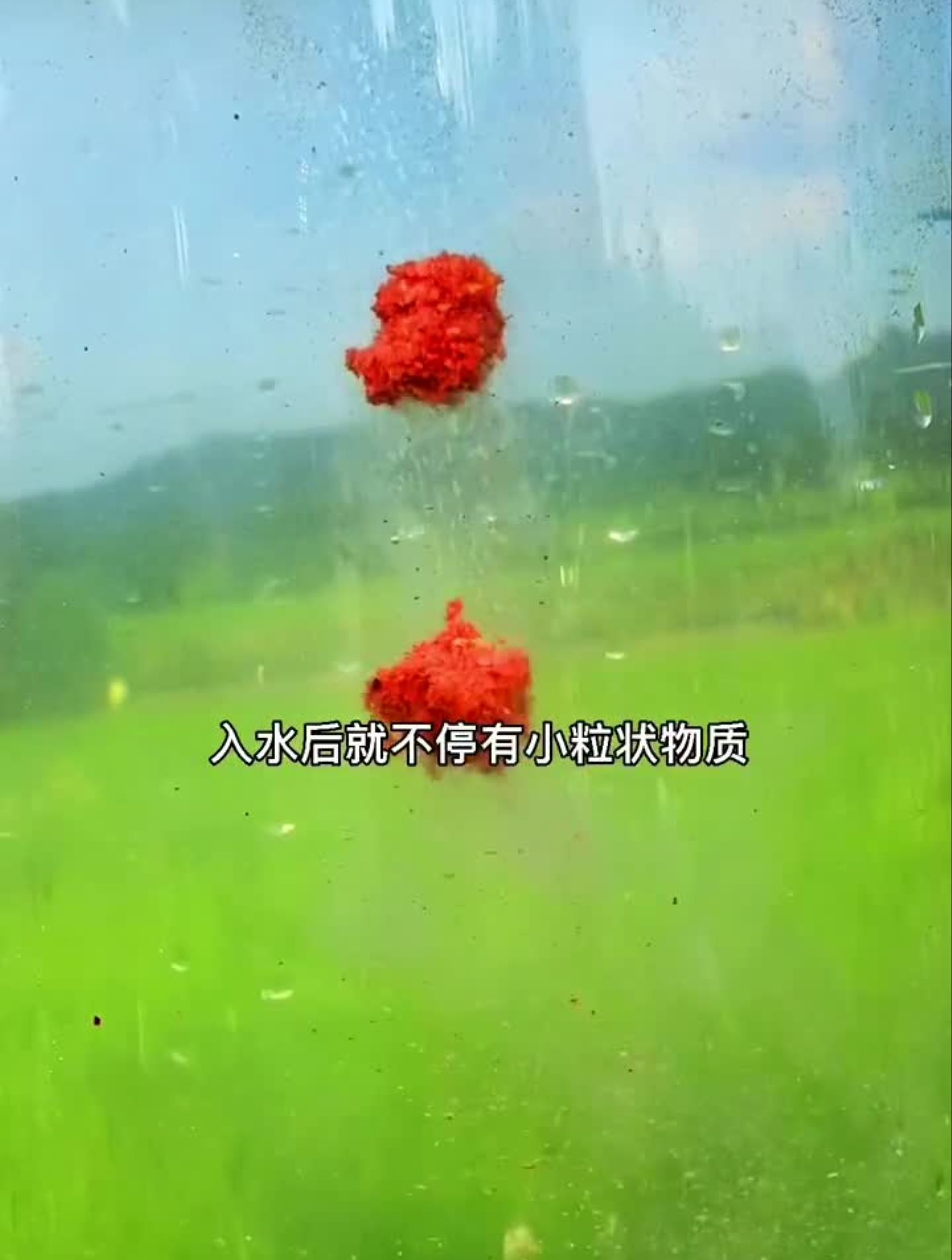 如何开出刘志强钓鲫鱼的拉饵?钓鱼技巧饵料钓鱼教学钓鱼知识