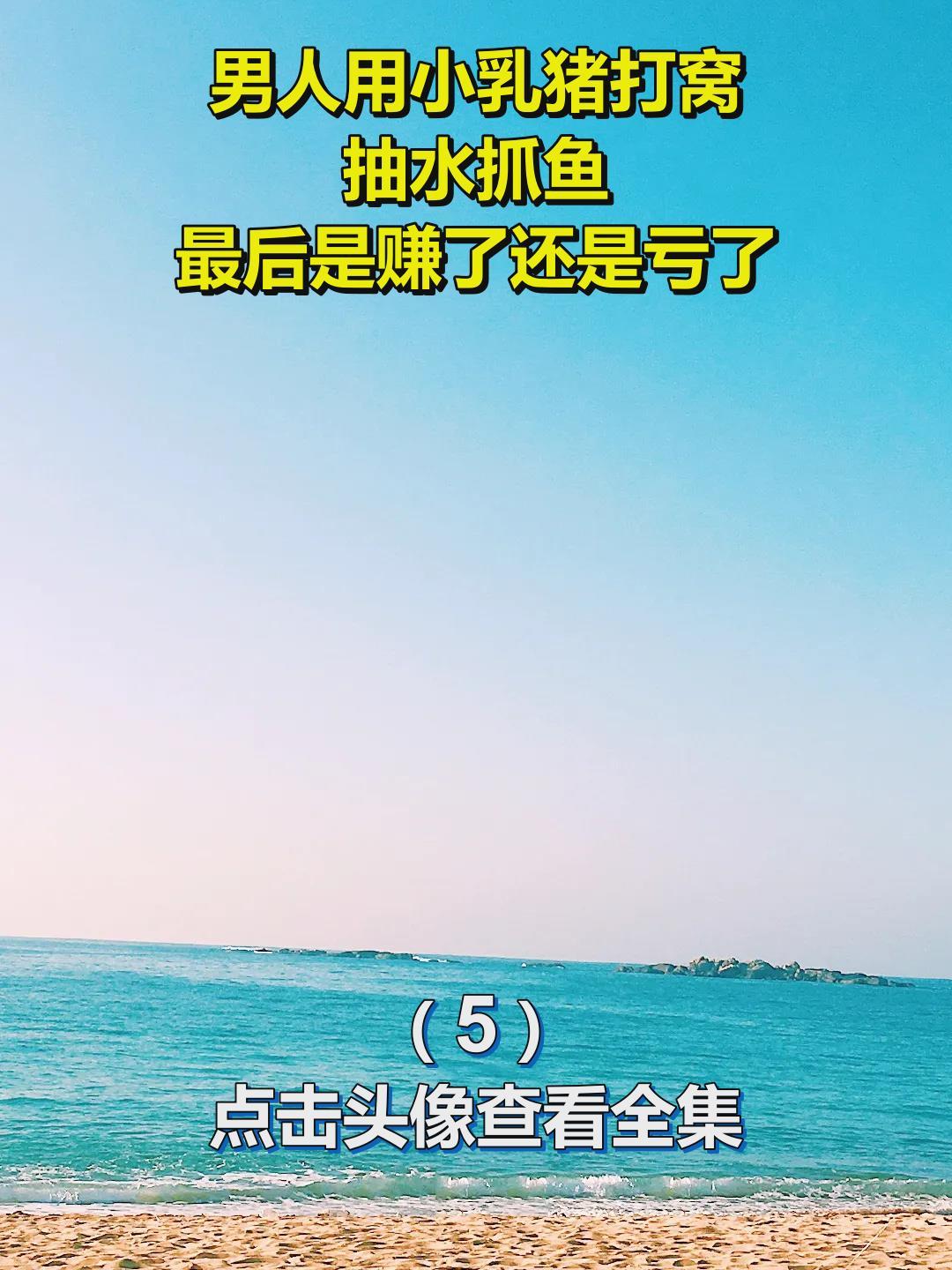 男人用小乳猪打窝,抽水抓鱼,最后是赚了还是亏了?5