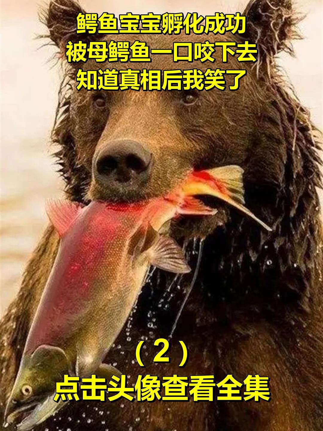 鳄鱼宝宝孵化成功,被母鳄鱼一口咬下去,知道真相后我笑了!2