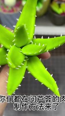 粘土芦荟肉刺制作方法来啦