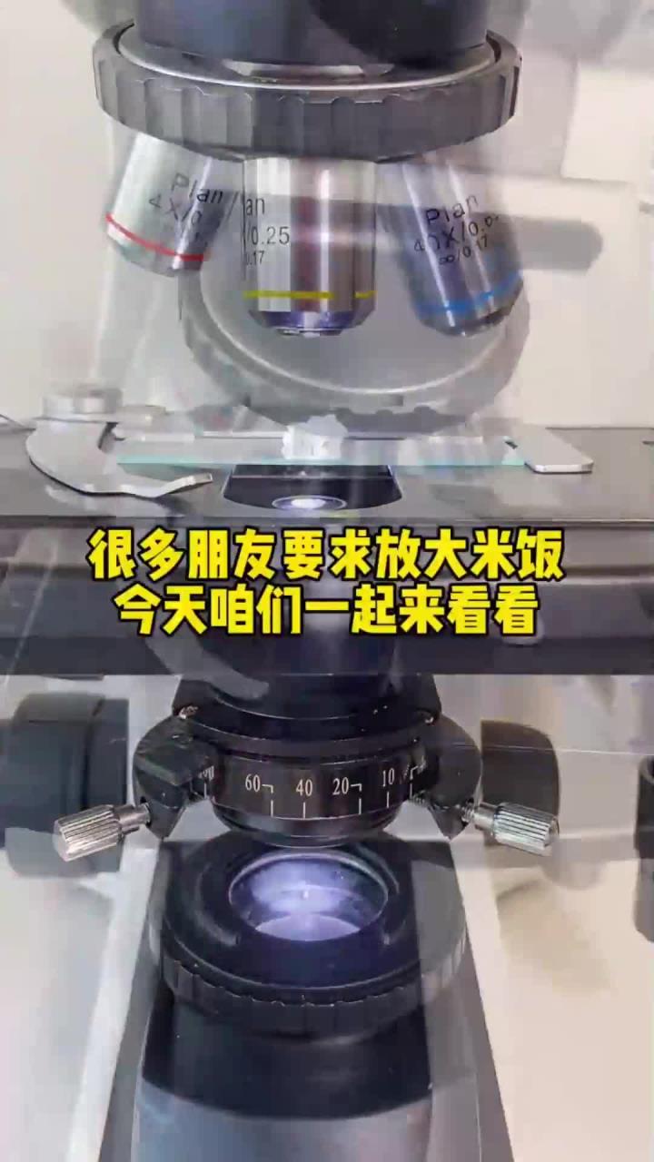 大米饭安全吗放大表面有黑色物质,据说是电饭煲的有毒物质铝