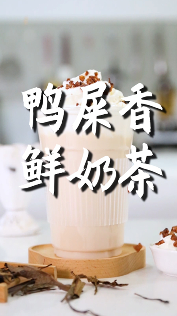 鸭屎香鲜奶茶的做法,小兔奔跑免费热饮配方