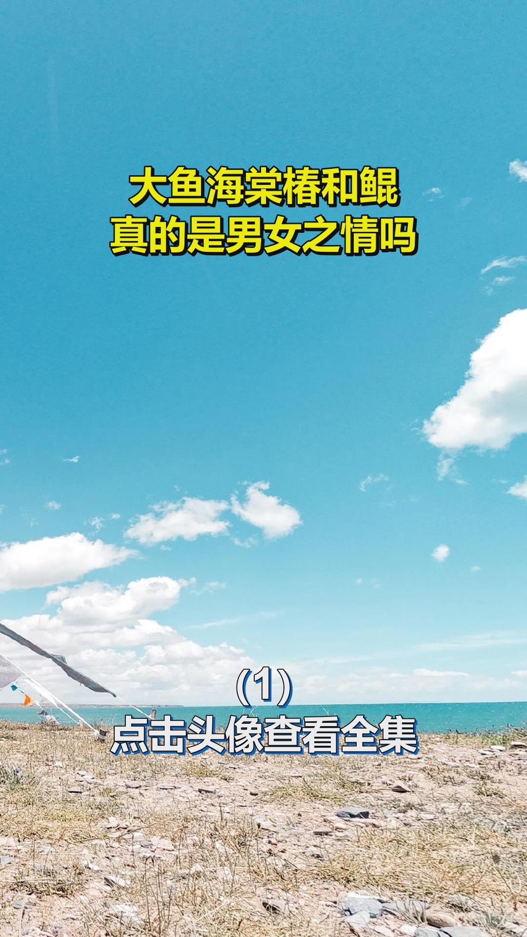 大鱼海棠椿和鲲,真的是男女之情吗?1