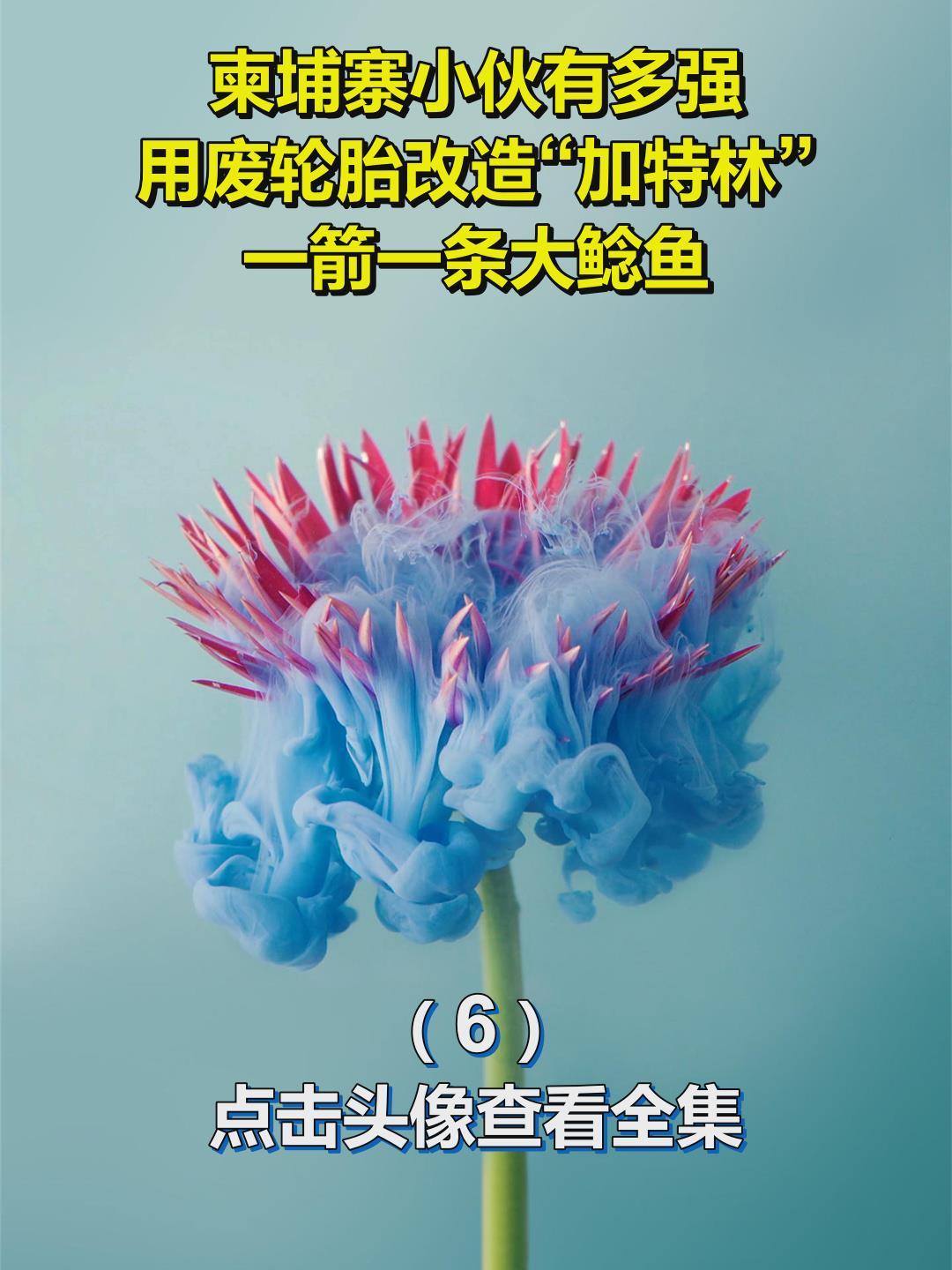 柬埔寨小伙有多强?用废轮胎改造“加特林”,一箭一条大鲶鱼!6