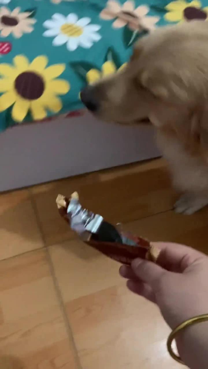 撒娇眯眼样样行 自己在家吃我薯片