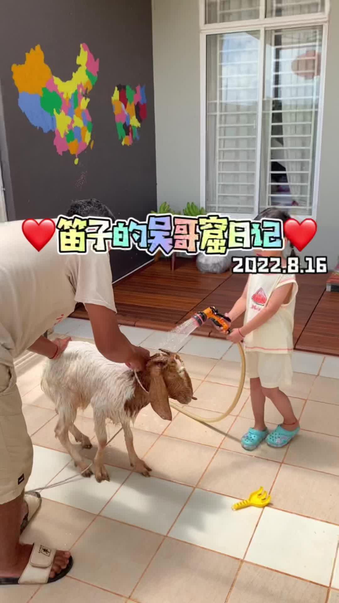 一大桌东北菜,金大厨发挥得不错。给大家介绍下咱们家的小羊肉串