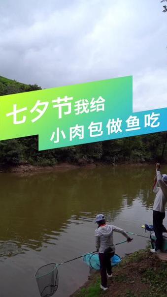 大家看我的地锅鱼做得如何