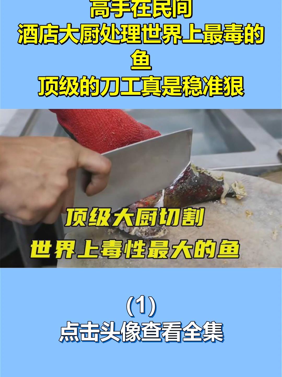高手在民间,酒店大厨处理世界上最毒的鱼,顶级的刀工真是稳准狠