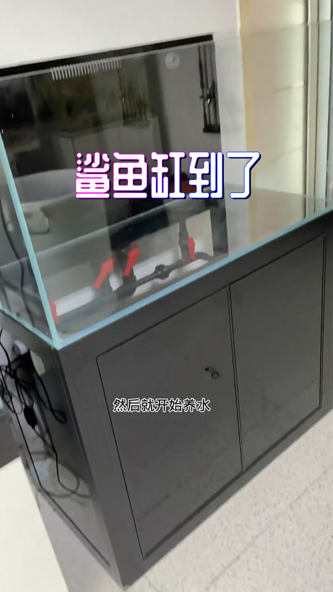 哥们的鲨鱼缸终于到位了啊,明天就能放水