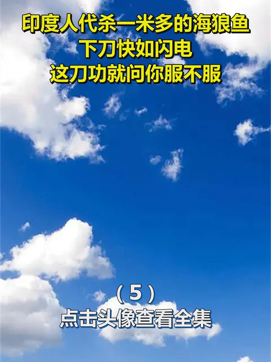印度人代杀一米多的海狼鱼,下刀快如闪电,这刀功就问你服不服5