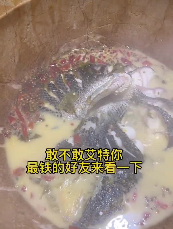 三林这边很不错的蒸汽石锅鱼,活鱼现杀