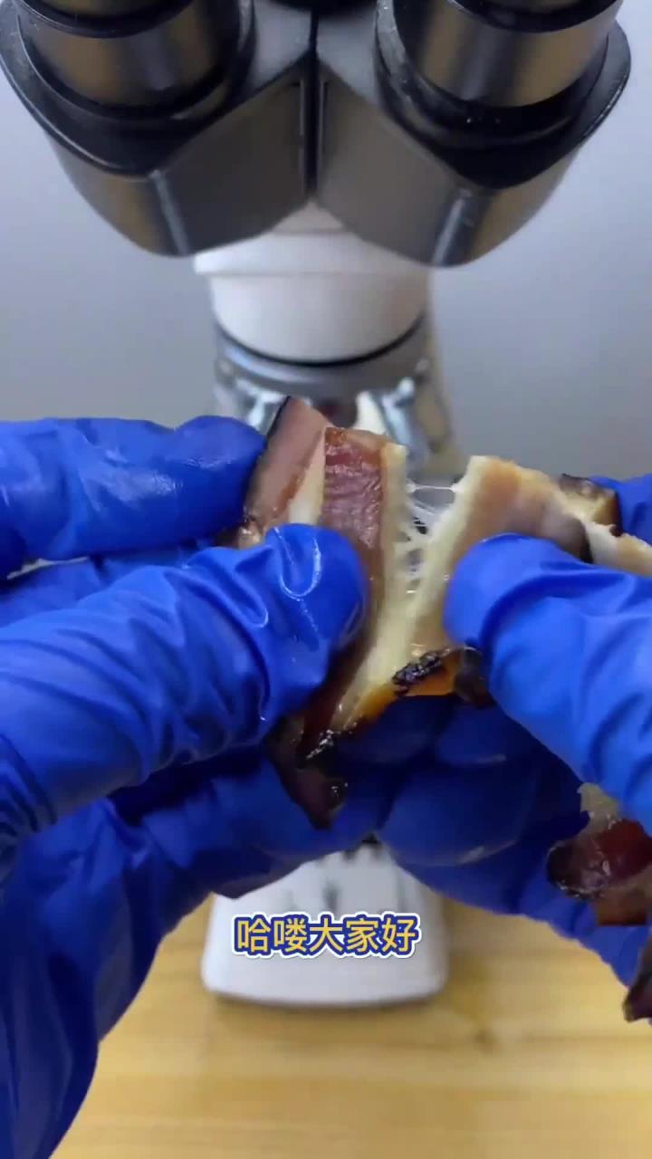 腊肉放大百倍的样子,里面有发黑的霉点,看起来十分可怕