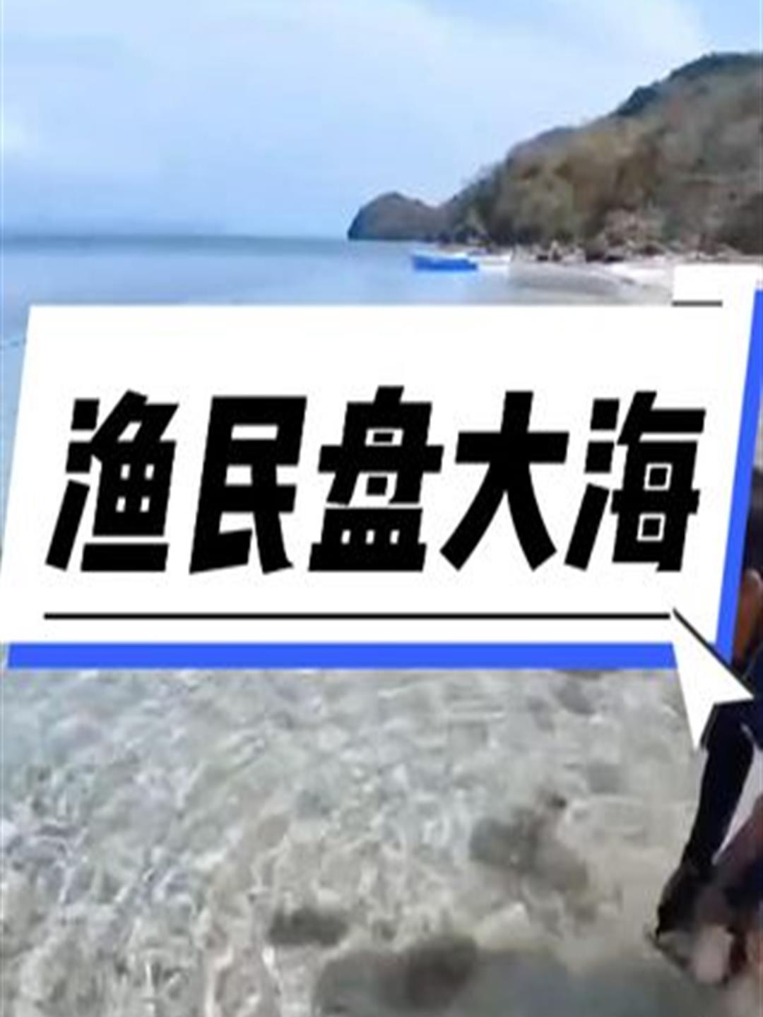 渔民买来上百米渔网,将海滩包围起来,收获了大量鱿鱼3