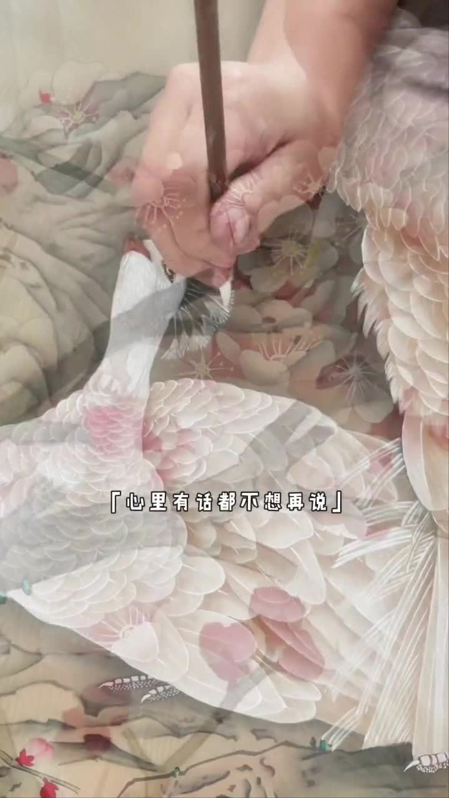 白孔雀完成抖出我的艺术创作灵感工笔画