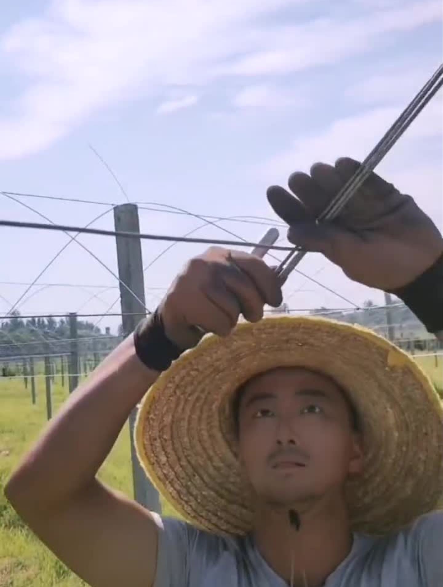 文案你们写!素描手绘随手画 (198)