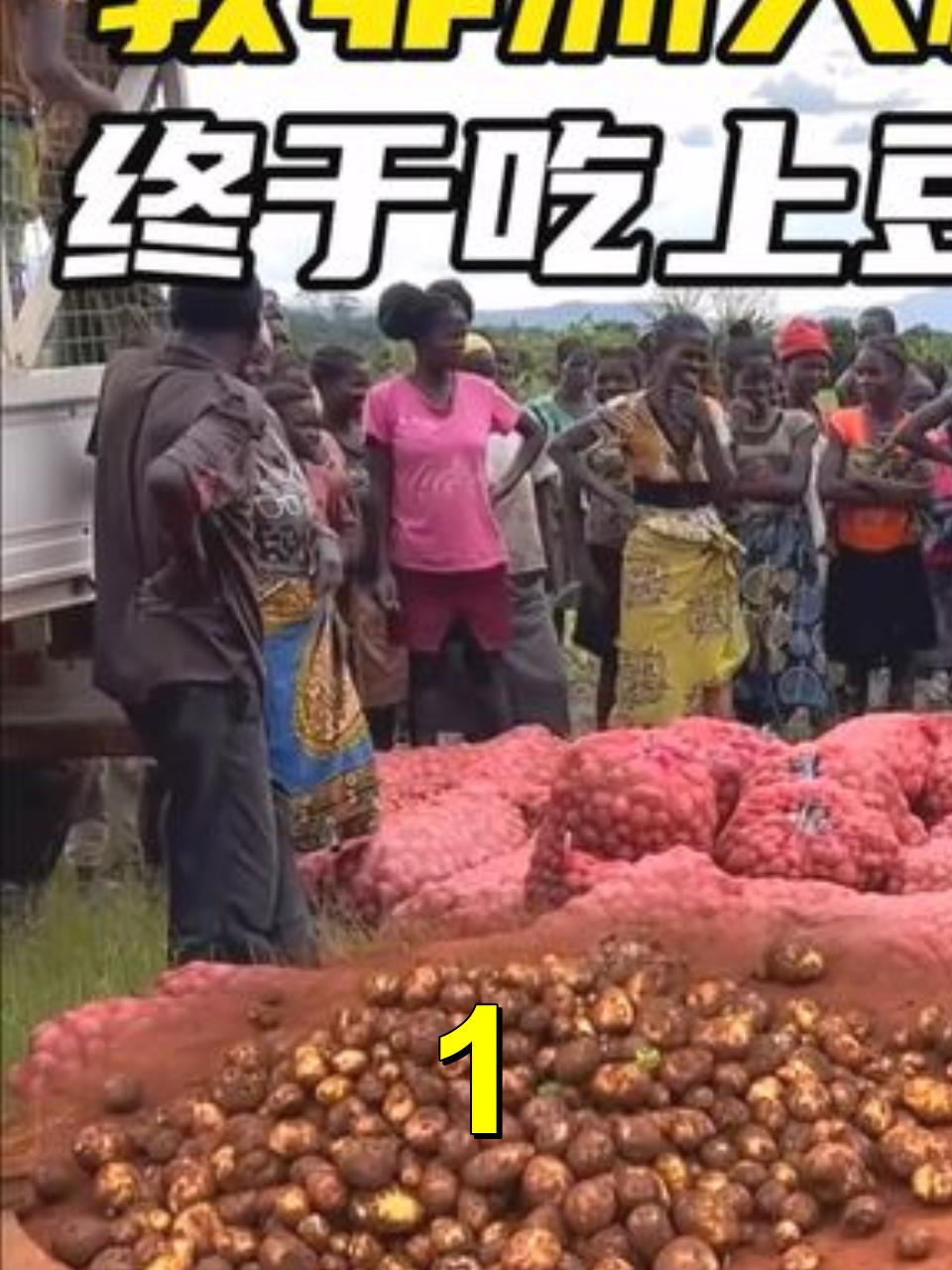 教非洲人种黄豆和土豆大丰收,全分给当地人,终于吃上豆腐土豆丝1