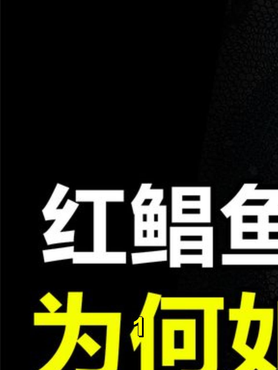 入侵物种红鲳鱼,曾是桌上美味,为何如今人们不吃它?1