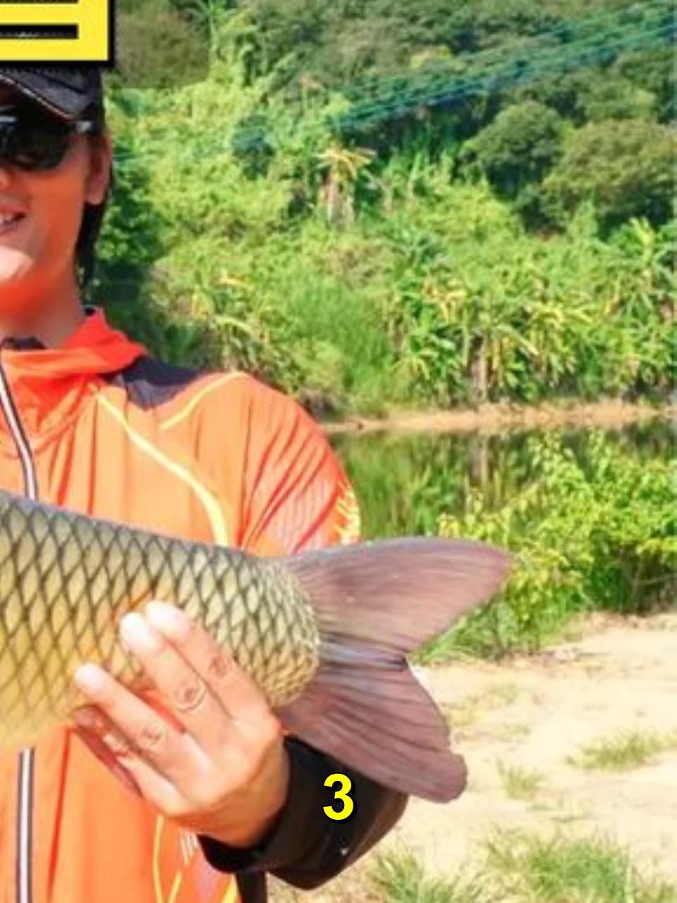 东哥说 有20斤大草鱼 原来是这样算?又被坑了!3