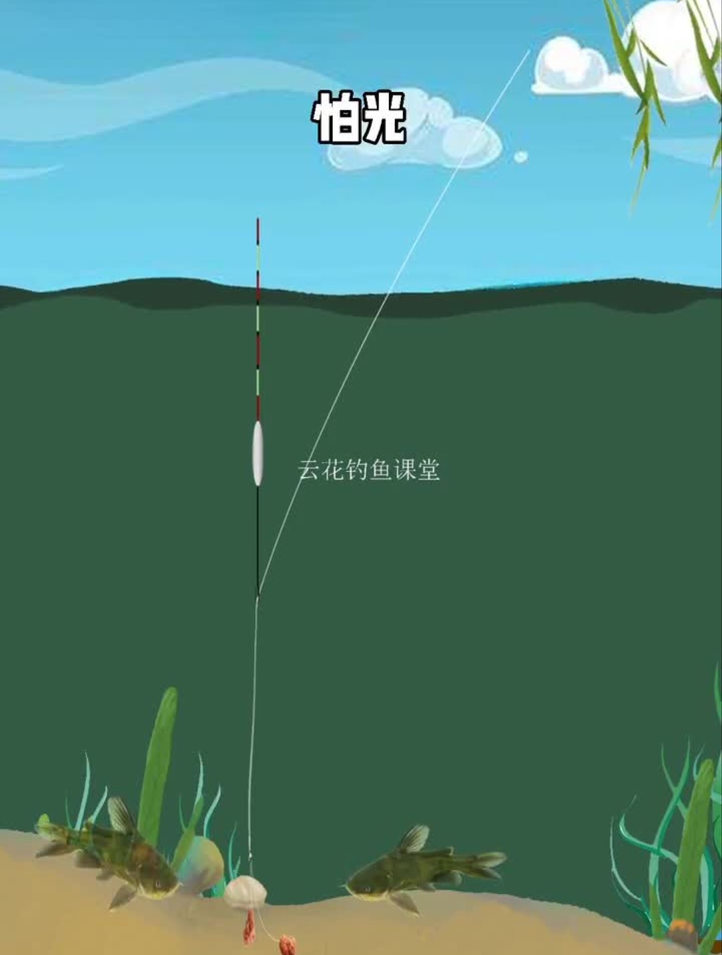 野钓鲶鱼的小技巧,你知道几个?