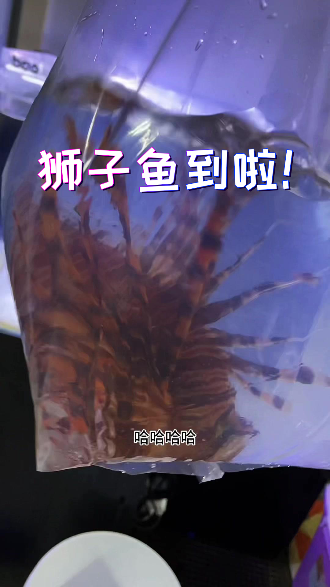 诶呀～日子还得过,是不是?不过我这缸下鱼有点着急了