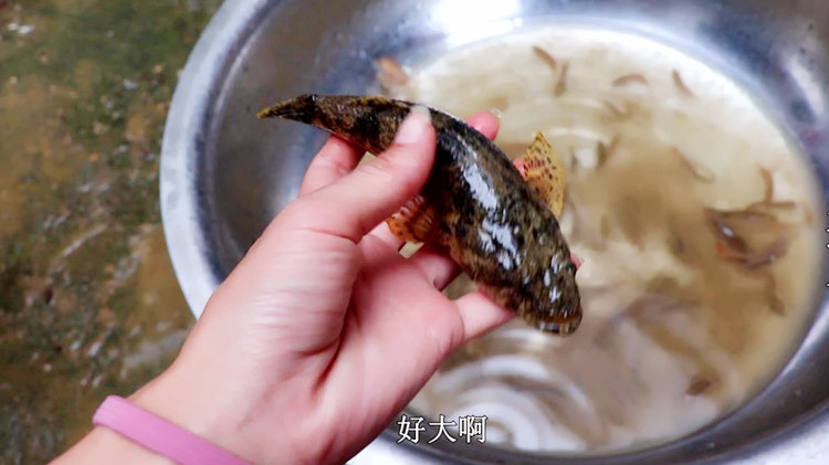 哥哥们抓斗鱼,回家后发现有一条怪鱼!