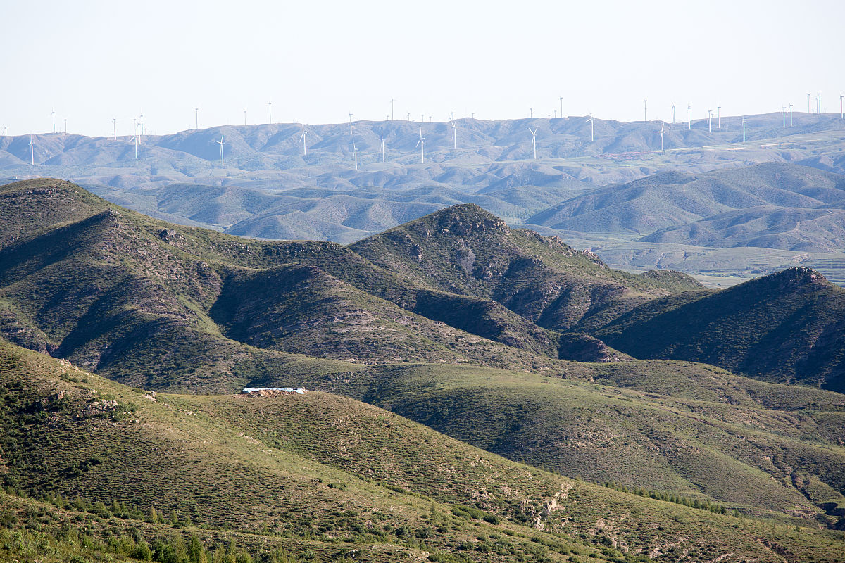 张家口尚义县民政局送养政策解读