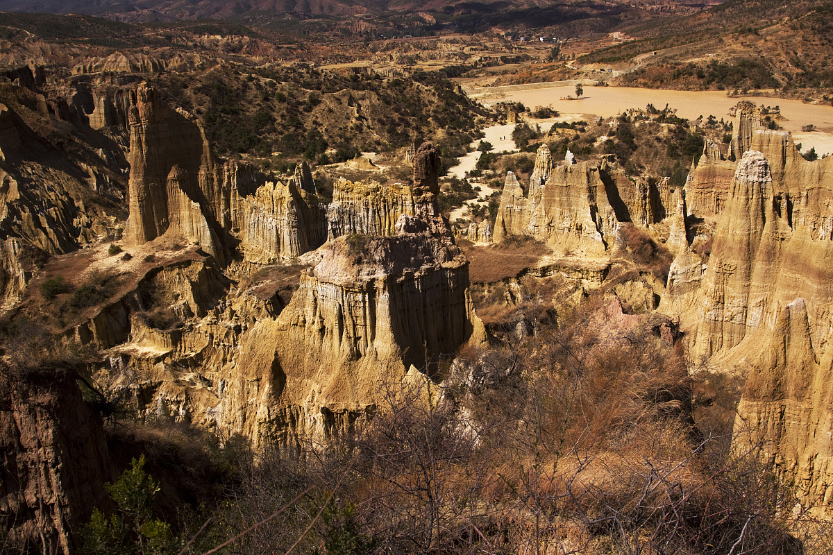 楚雄读中专学校要分数吗