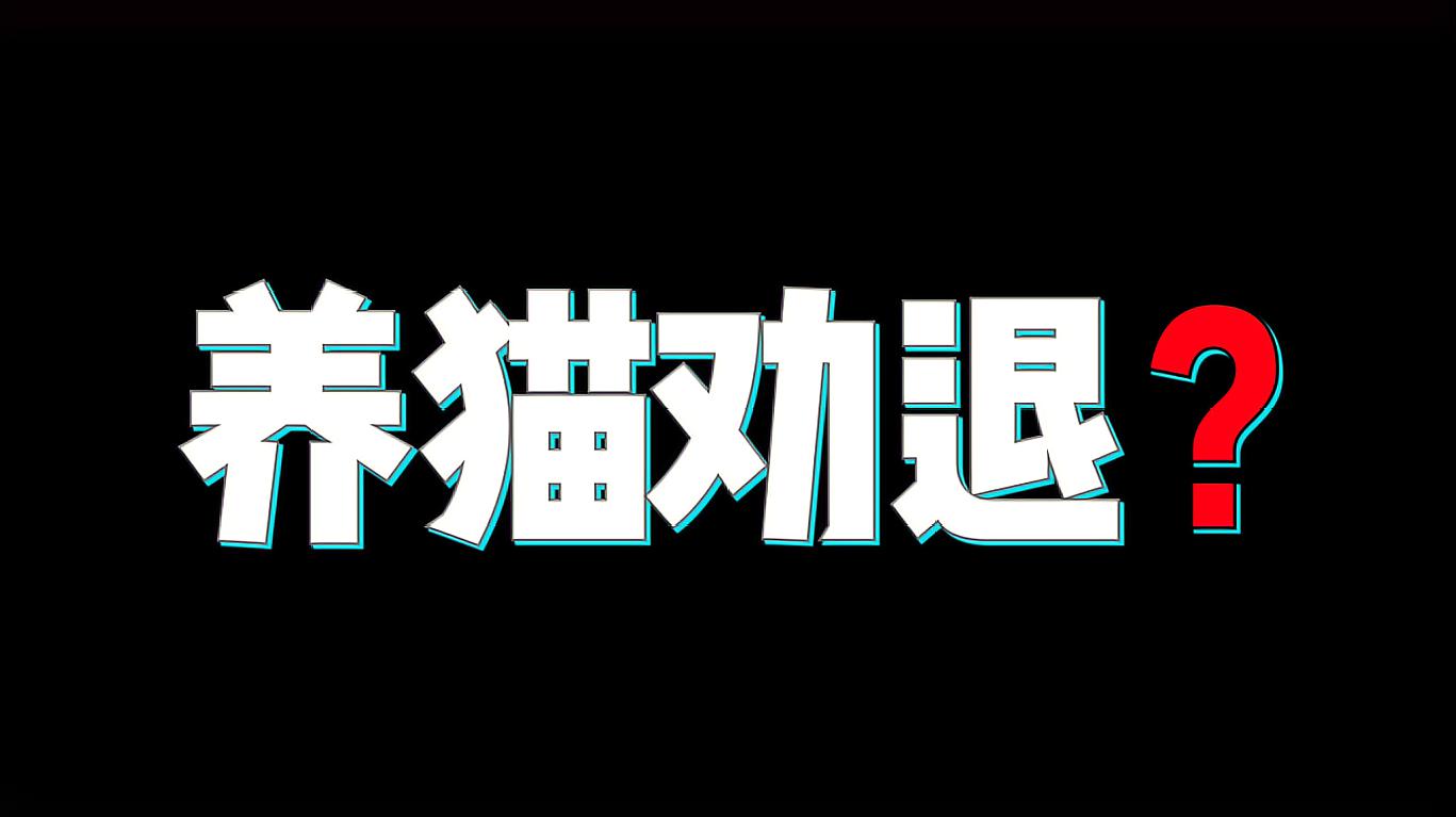 [图]全网首只养猫劝退视频，看完不敢养猫了