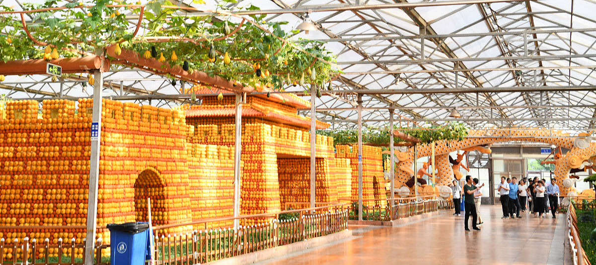 潍坊科技职业学院中专部怎么样？评价及就业前景