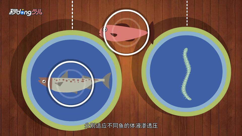 淡水鱼体内的寄生虫比海水鱼多吗?