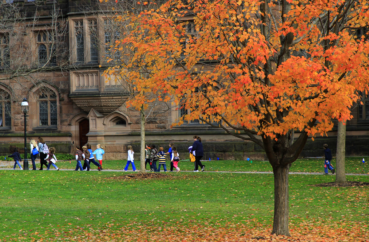 重庆财政学校招生办联系电话 - 报名咨询电话