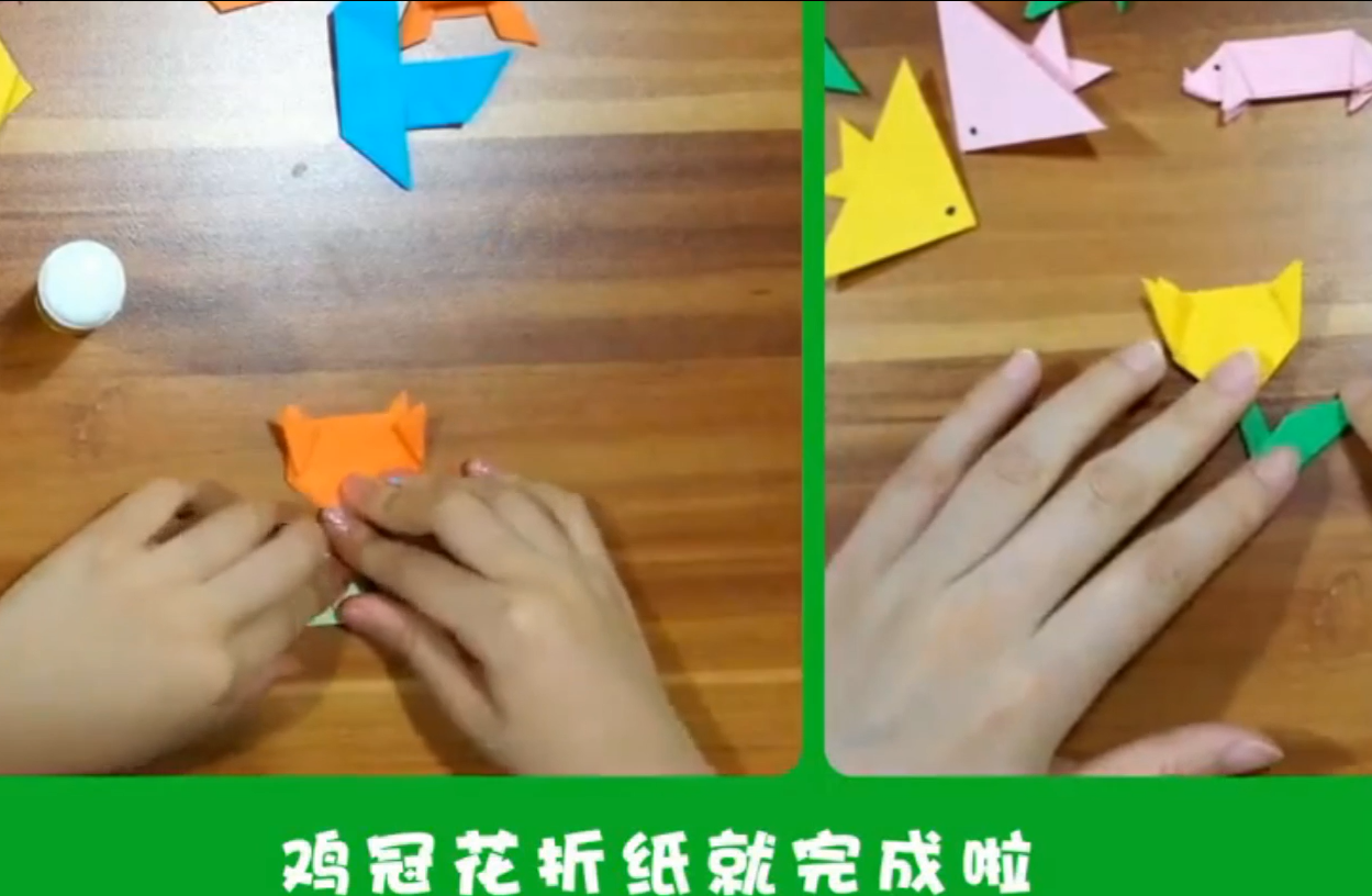 小朋友,你会折鸡冠花吗?不会的话就赶紧来学吧