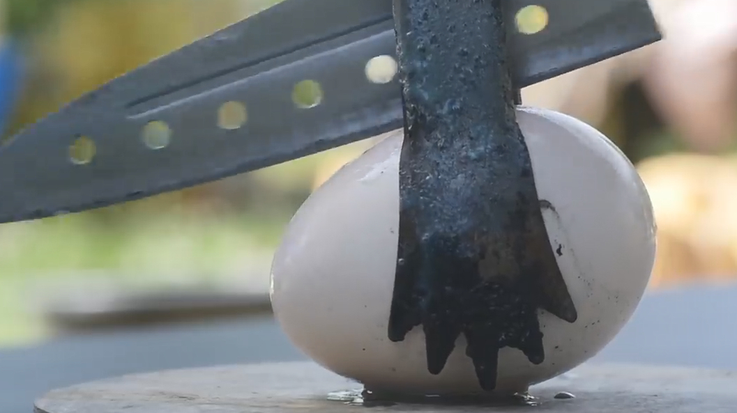 浓硫酸有多可怕?老外将一颗鸡蛋放进去,切开后不淡定了