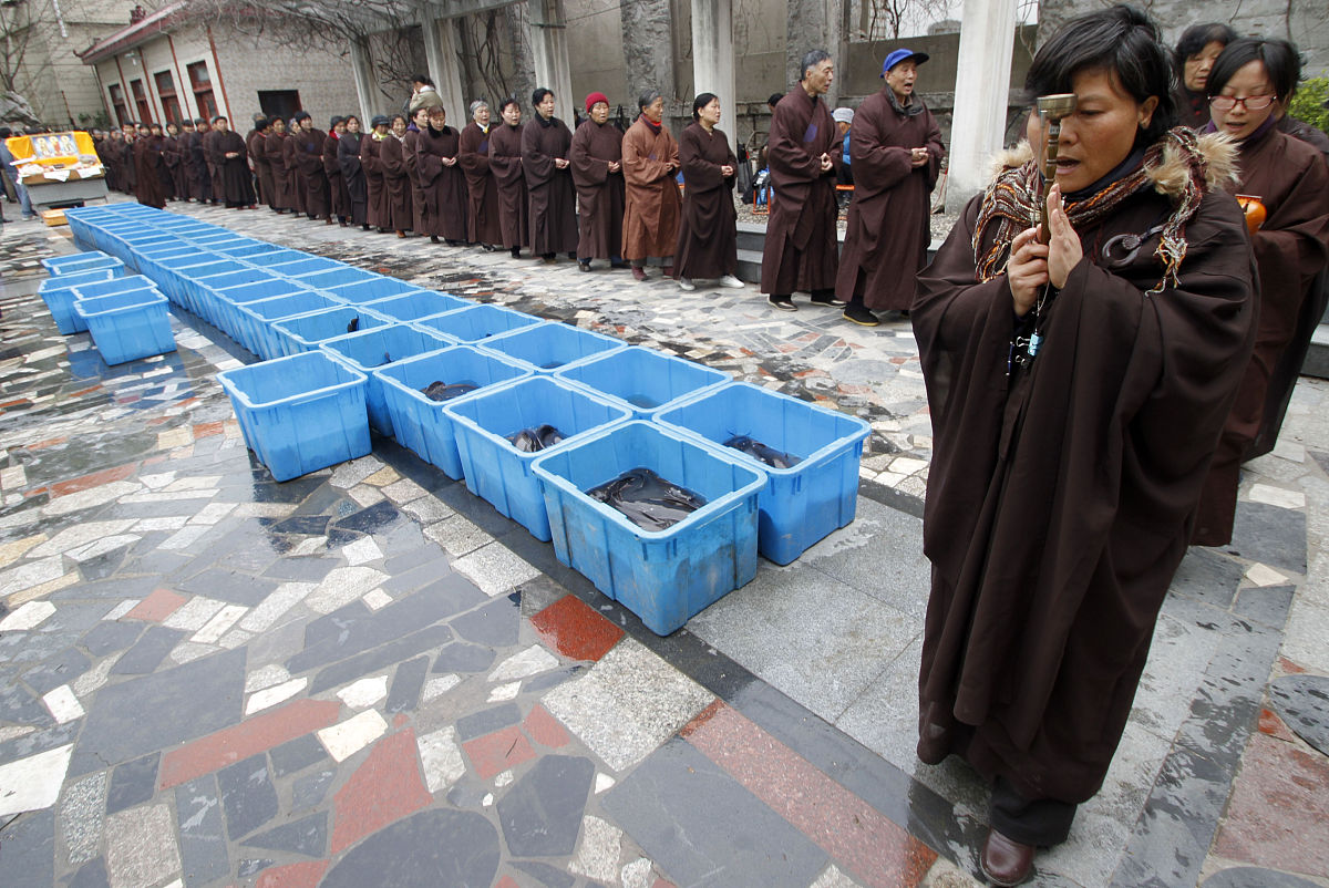 放生指南：如何正确放生，积德行善