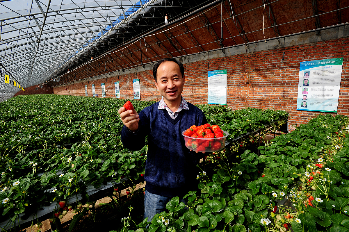 给研究生导师的简介怎么写