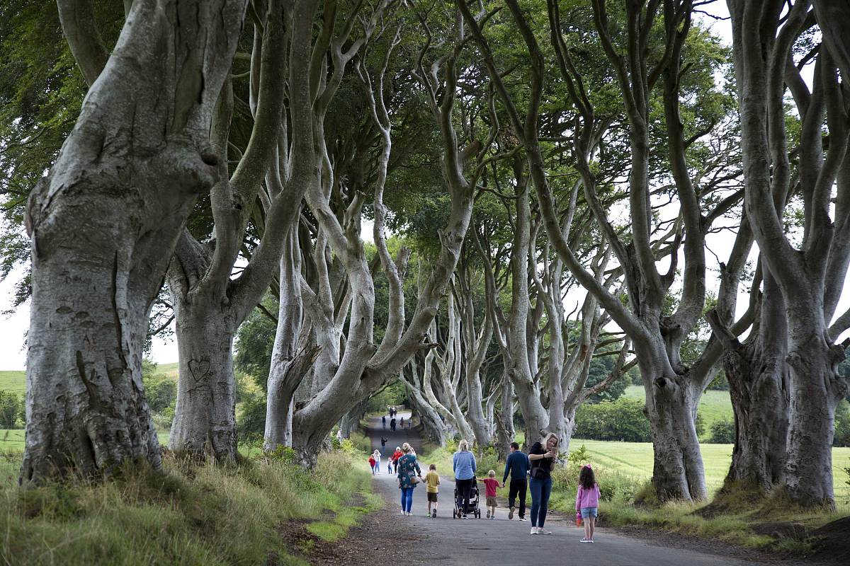 ***_***2018年7月17日,英国,北爱尔兰,黑暗树篱dark hedges.现如今黑