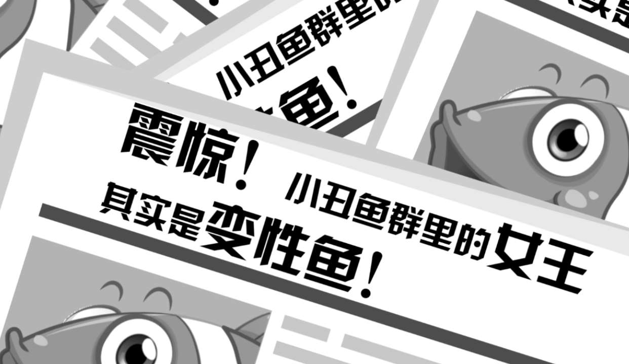 海底总动员主角小丑鱼疑有金主靠山,家族女王竟然是变性鱼!