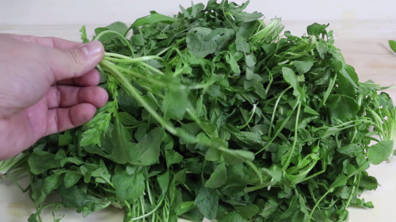 血压不好,常吃1种野菜,血压平稳健康,在农村被誉为“长寿菜”