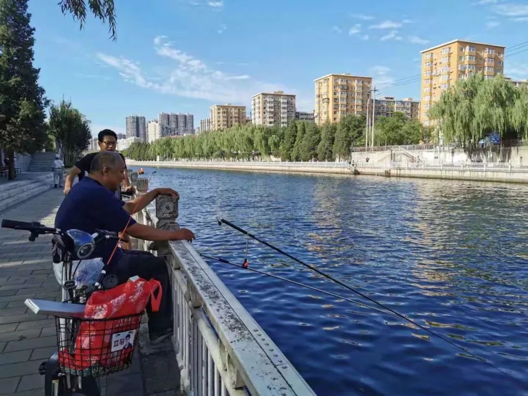 2019年济南市第三十届钓鱼比赛在天天渔钓鱼基地完美落幕 - 天天渔 - 有了天天渔 天天都上鱼