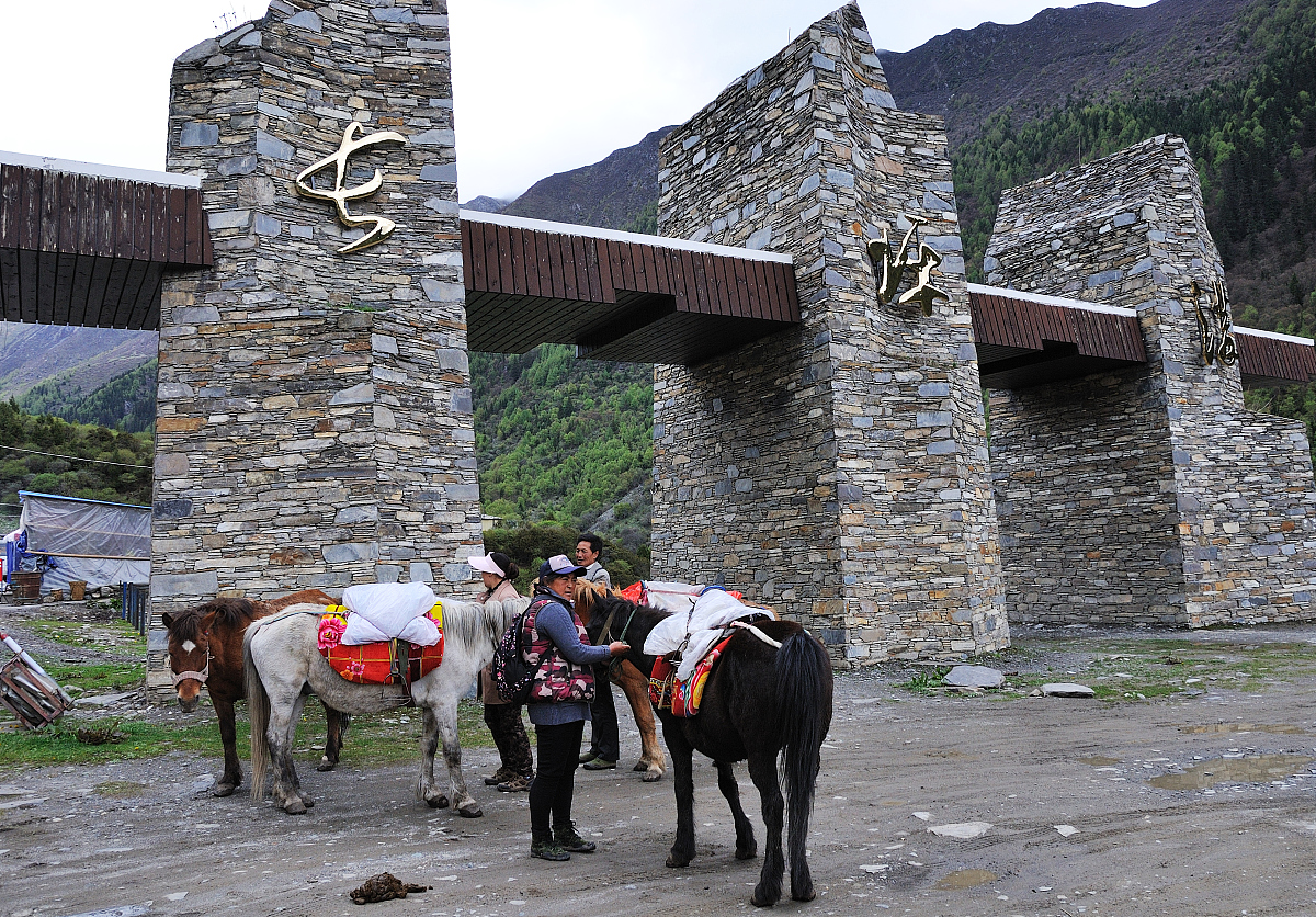 四川2020年招收口腔修复专业的卫生学校哪些比较好