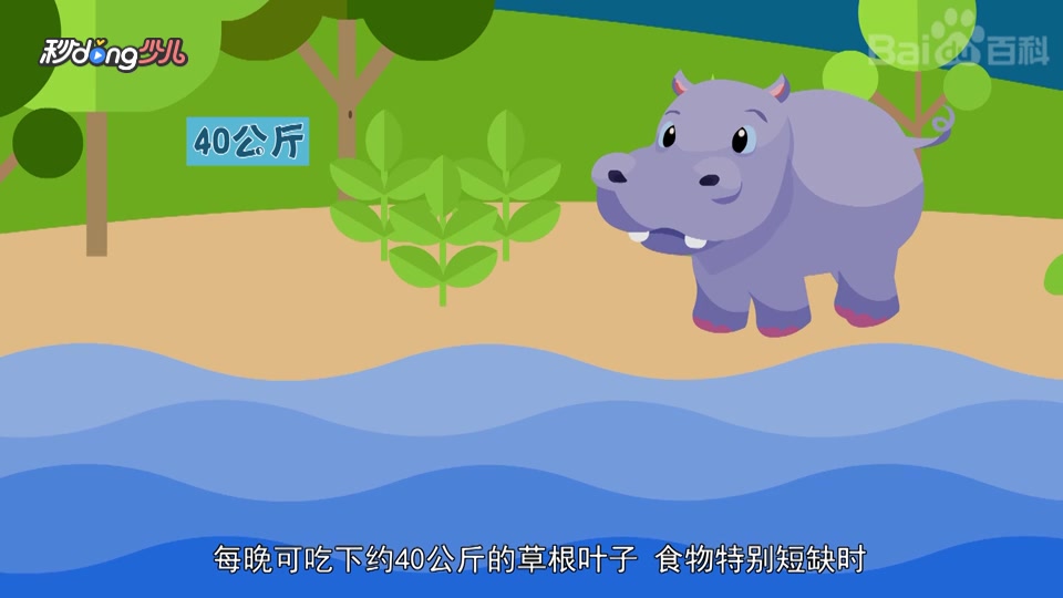 河马吃肉还是吃草呢?